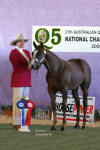 Garfy Q5 National Champion